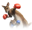 Roger Jr.