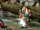 Devil Jin VS Craig Marduk tekken 5 dark resurrection 3.png