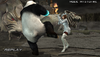 Panda VS Anna Williams