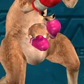 Roger jr tekken 5 couleur (1)