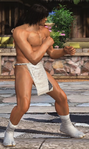 Fundoshi (blanc) (DLC gratuit)