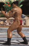 Fundoshi jin kazama tekken tag tournament 2 (4)