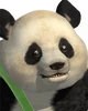 ---