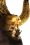 True ogre portrait ttt copie