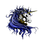 Symbole de la licorne au dos de sa tenue.