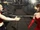 Anna nina ending tekken tag tournament 03.jpg