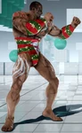 Joyeux fundoshi