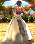 Tenue de princesse Zelda (version Wii U uniquement)