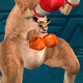 Roger jr tekken 5 couleur (7)