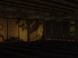 Tiger Dojo Tokyo