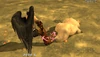 Devil Jin VS Kuma