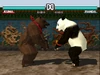 Kuma VS Panda
