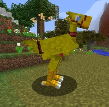 Chocobo | Tekxit Wiki | Fandom