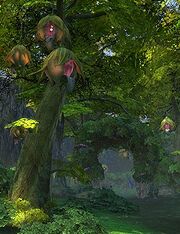 01hedgemaze08.jpg
