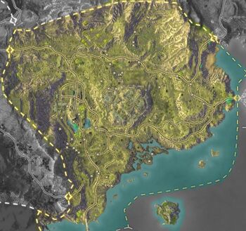 Silverwood Artifacts