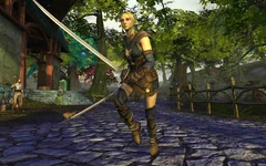 Elven Blade Dancer-1