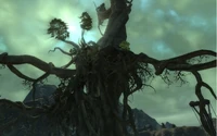 Scarwood Reach-screen 04