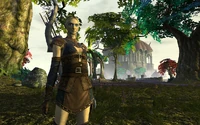 A female High Elf
