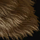 Fur tan