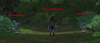 Trickster maelow