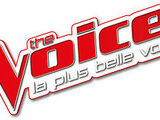 Saison 5 de The Voice, la plus belle voix