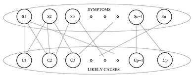 B graph