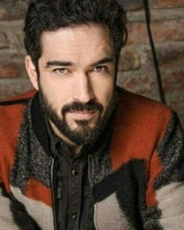 Alfonso Herrera Telenovela Database Wikia Fandom