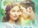 Sin tu mirada