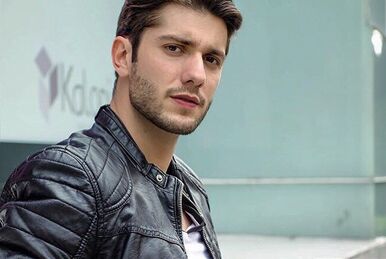 mariana van rankin amor bravio