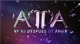 Amar-despues-de-amar