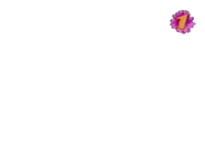 ORT 08.03.2000 prop.png (138 Кб) ORT 08.03.2000 prop