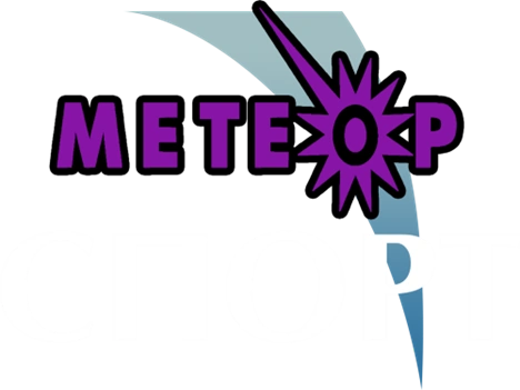 Метеор спорт. Метеор девиз. Метеор надпись. Логотип с названием Метеор.