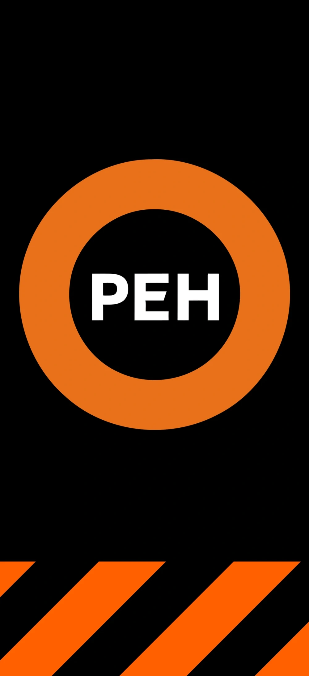 Следователи завели дело после нападения на съемочную группу РЕН ТВ