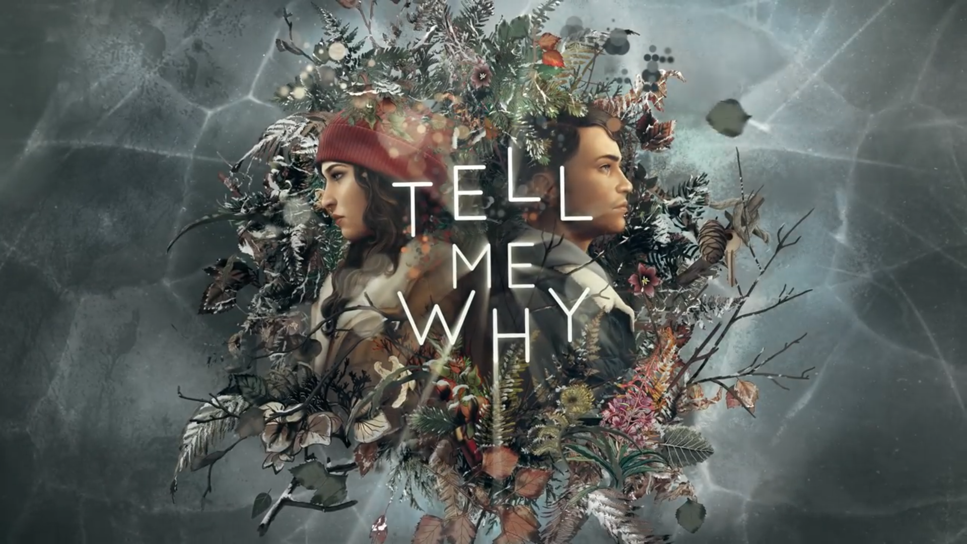 Tell Me Why (video game) - Wikipedia