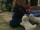Puppies