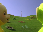 Laa-laa and Dipsy watch the animated tree form