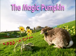 teletubbies the magic pumpkin dvd