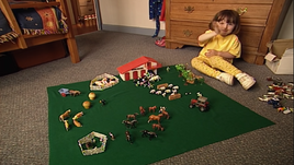 Catherine's Toy Farm