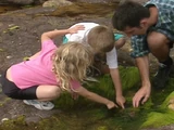 Rockpool