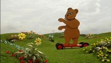 I'm the Bear, I'm the Bear!