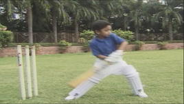 Cricket