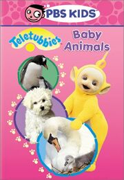 Baby Animals DVD