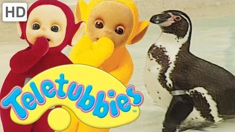 Teletubbies-_Penguins_-_Full_Episode