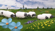 Sheep explore Teletubbyland