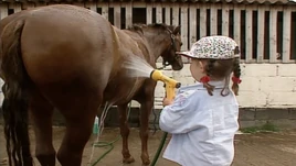Emily Washing Her Pony