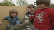 Feeding Baby Penguins