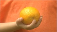 Oranges