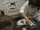I Want to Be a Vet