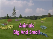 Animals Big and Small