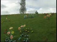 Notice the rare yellow flower on the left